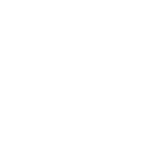 TNY Logo